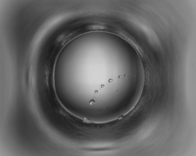 X0000101951151200807251129