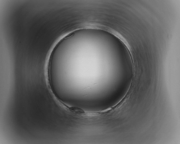 X0000101951152200807251129