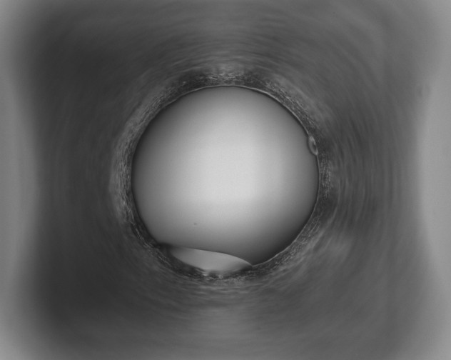 X0000101951153200807251129