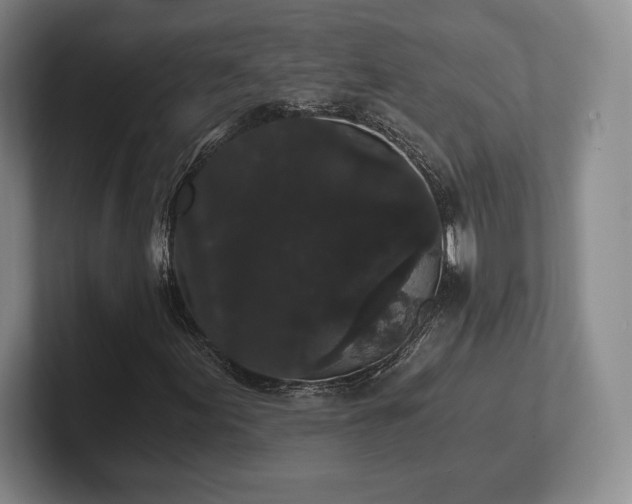 X0000101951155200807251129