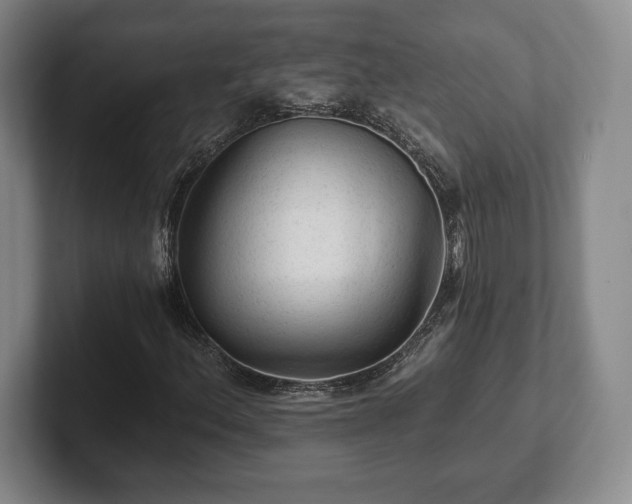 X0000101951156200807251129