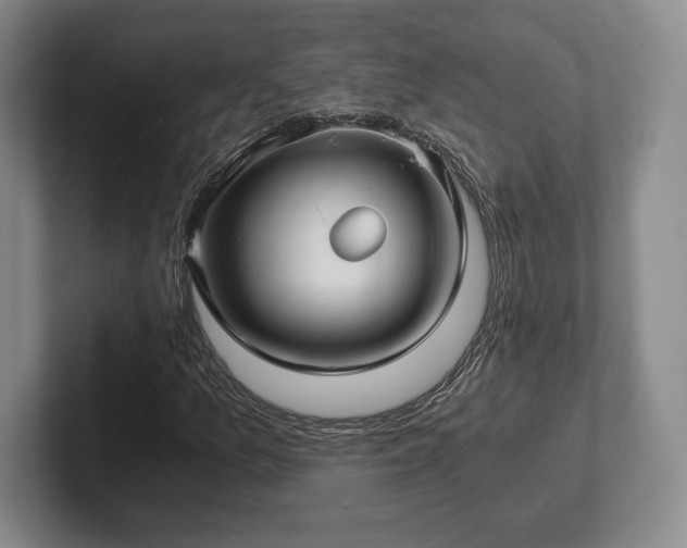 X0000101951157200807251128