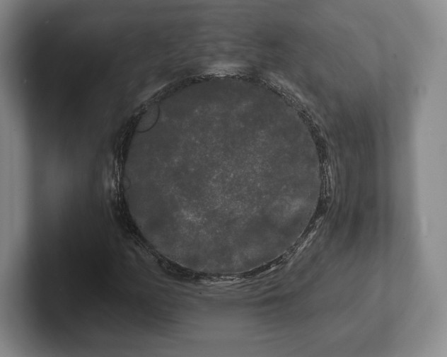 X0000101951158200807251128