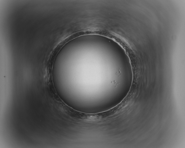 X0000101951160200807251128