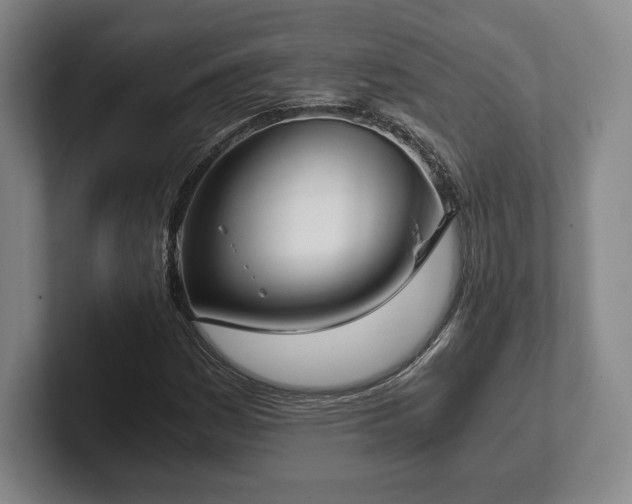 X0000101951161200807251128