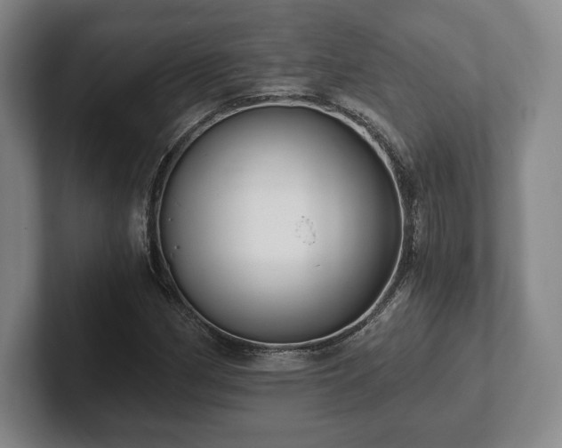 X0000101951162200807251128