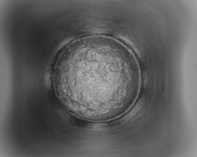 X0000101951163200807251128