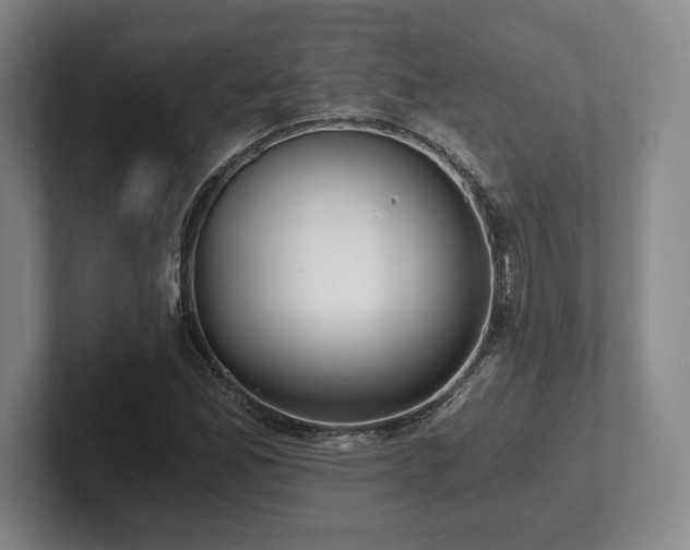 X0000101951165200807251128