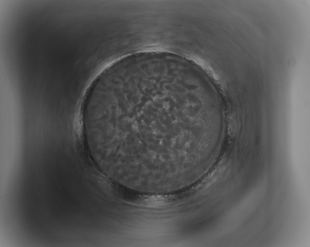 X0000101951167200807251128