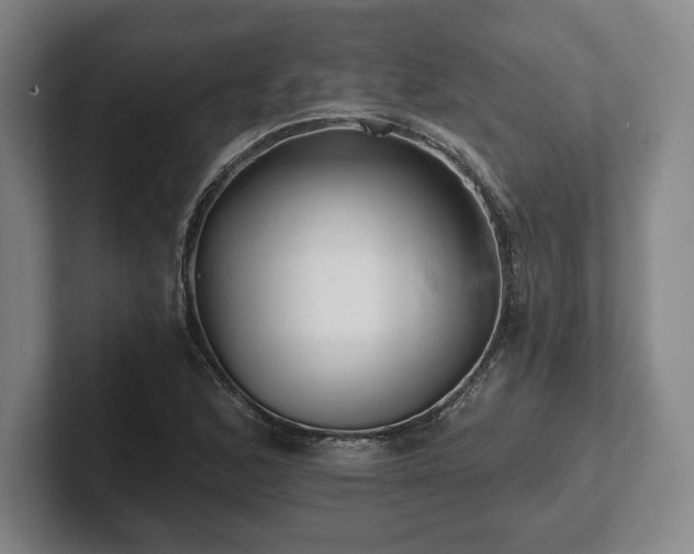 X0000101951168200807251128