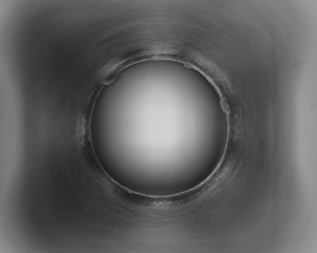 X0000101951169200807251128