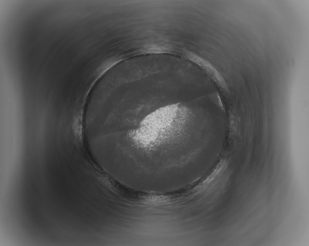 X0000101951170200807251128