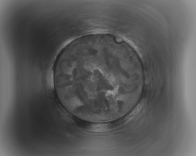 X0000101951171200807251128