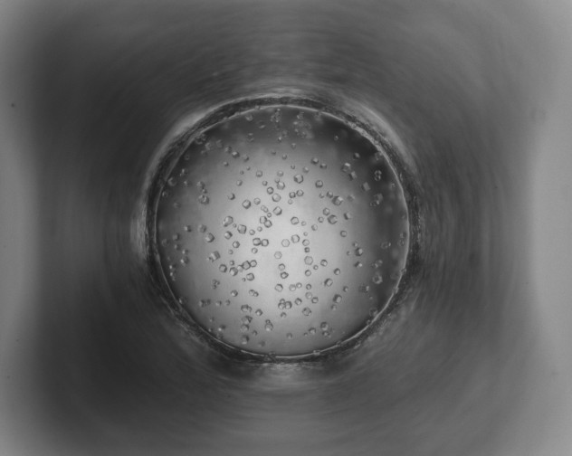 X0000101951172200807251128