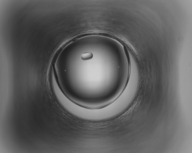 X0000101951173200807251128