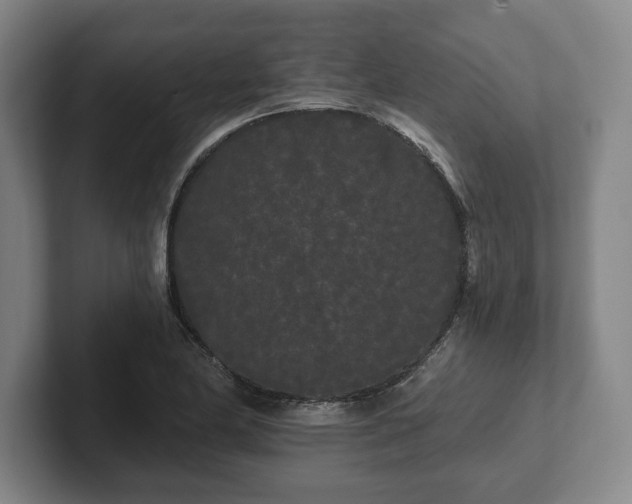 X0000101951174200807251128