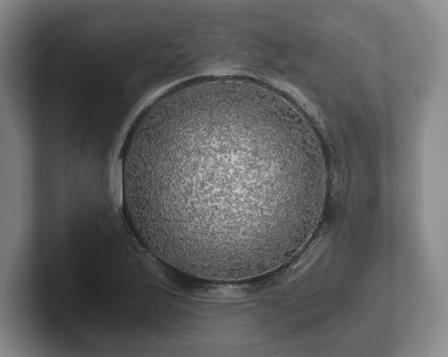 X0000101951175200807251128