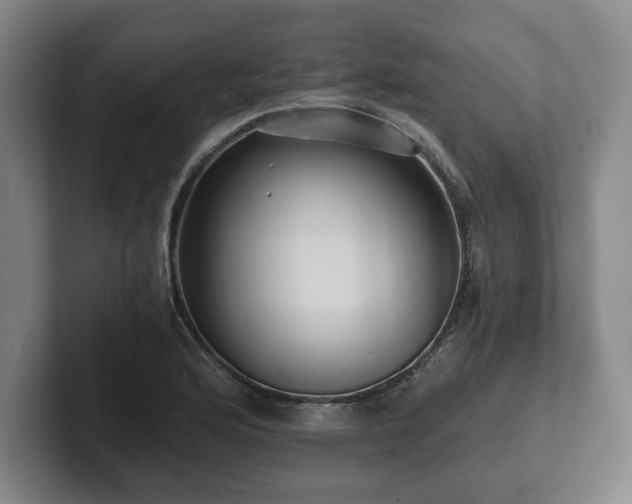 X0000101951176200807251128