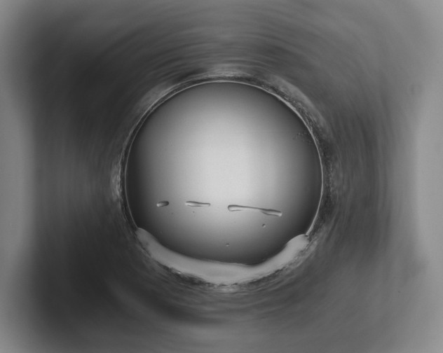 X0000101951177200807251128