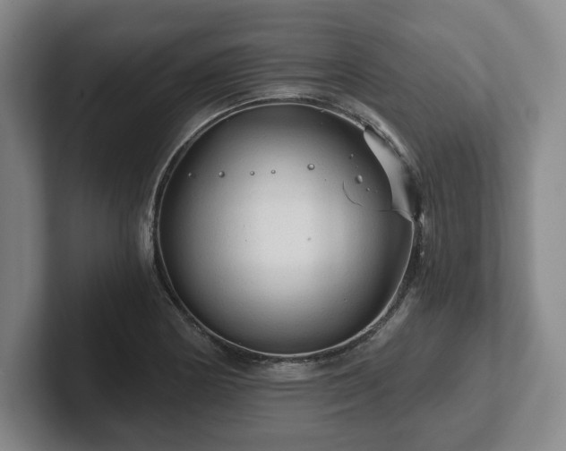 X0000101951178200807251128