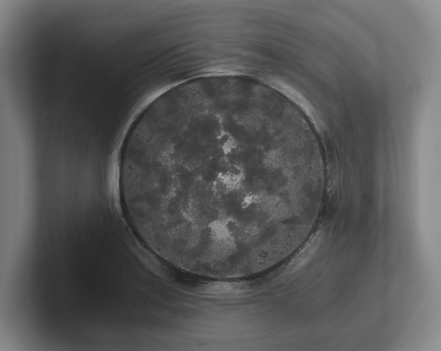 X0000101951179200807251128