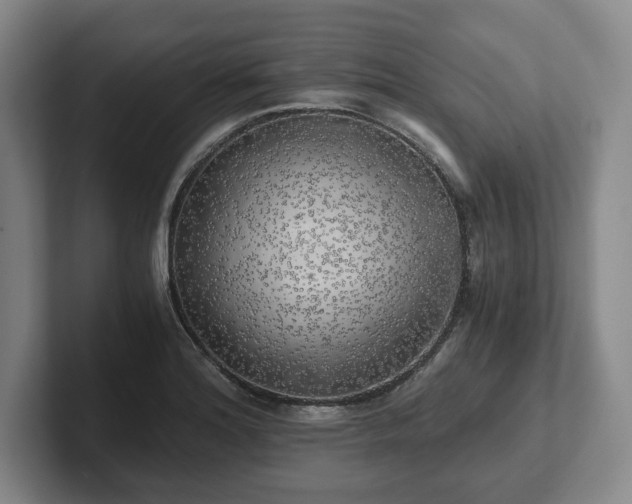 X0000101951180200807251128