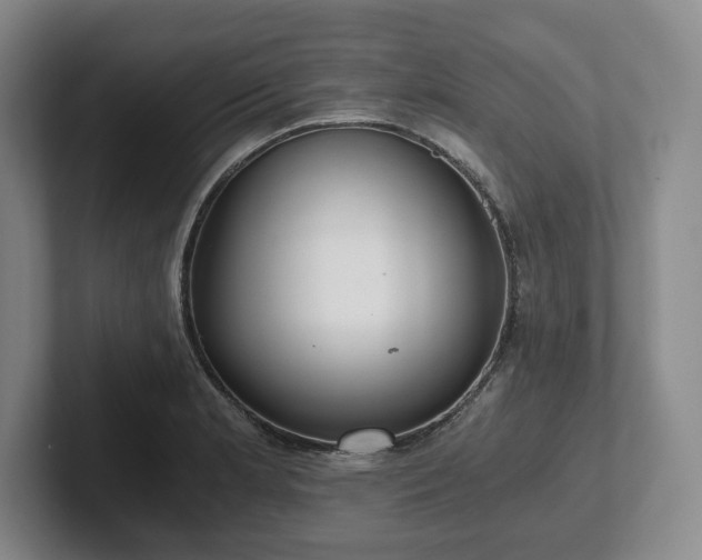 X0000101951181200807251128