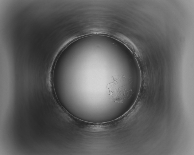 X0000101951182200807251128