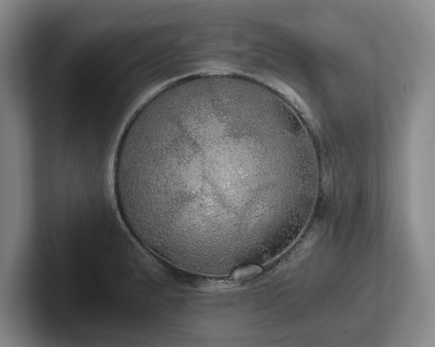 X0000101951183200807251128