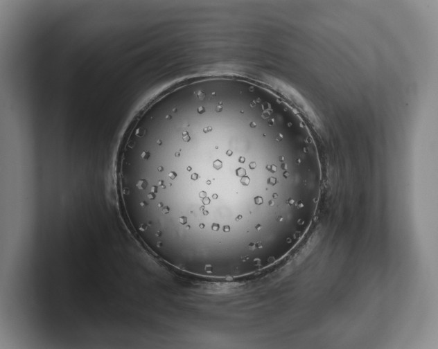 X0000101951184200807251128