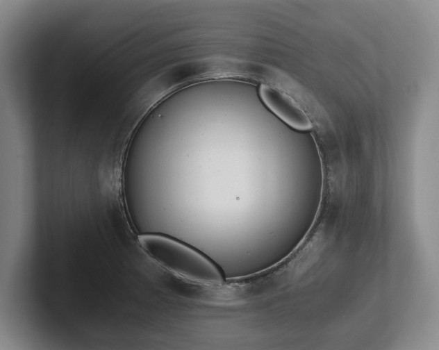 X0000101951185200807251128