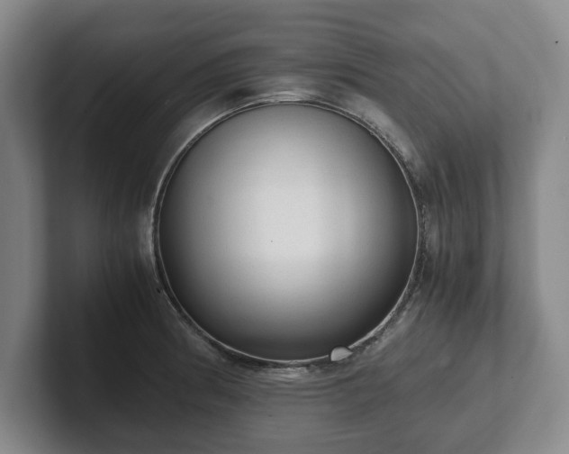 X0000101951186200807251128