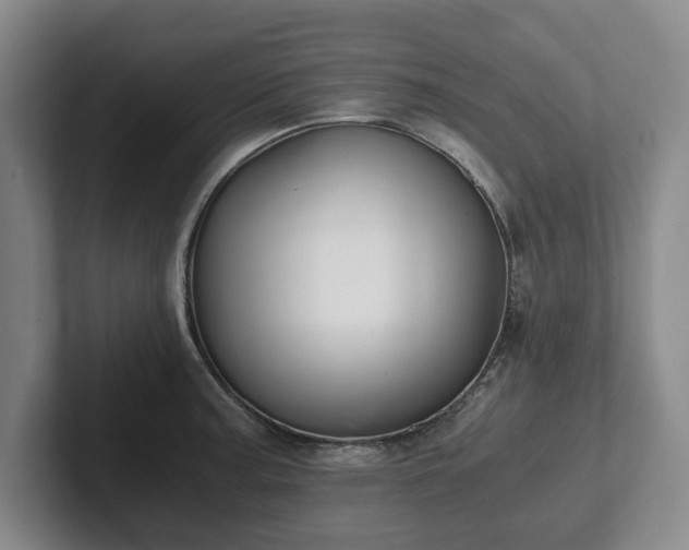 X0000101951187200807251128