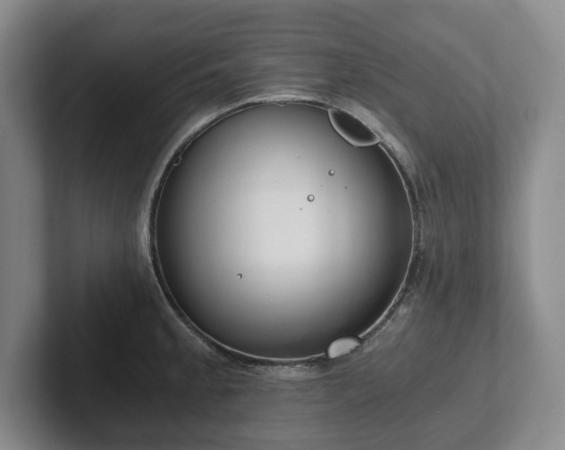 X0000101951189200807251128