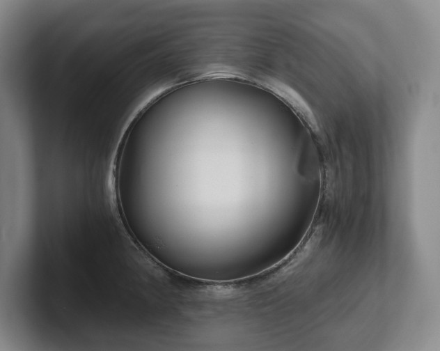 X0000101951190200807251128