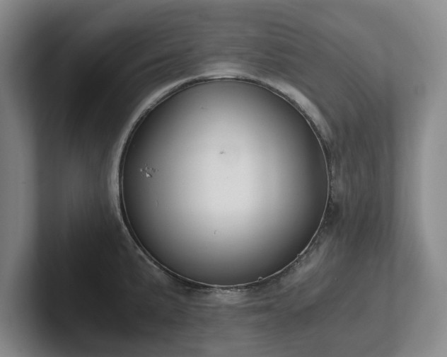 X0000101951191200807251128