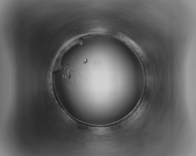 X0000101951192200807251128