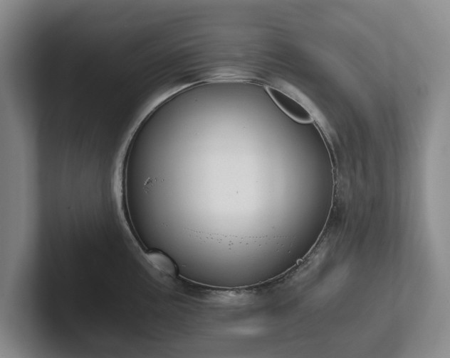 X0000101951195200807251128