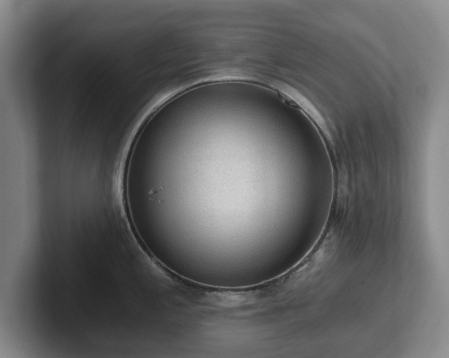 X0000101951197200807251128