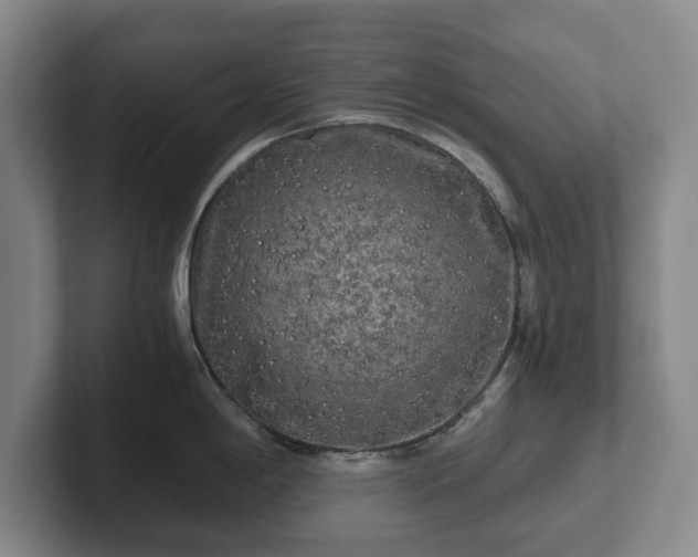 X0000101951198200807251128