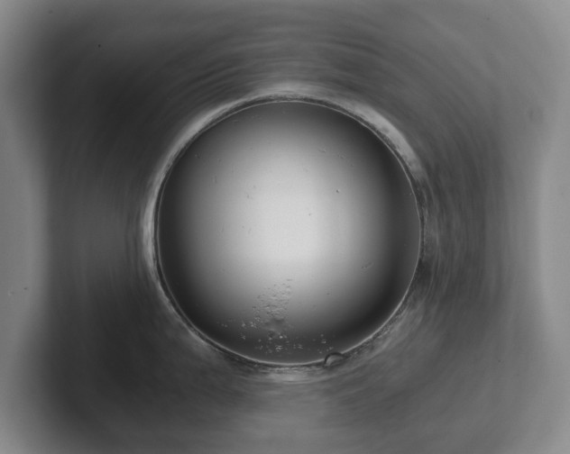 X0000101951199200807251128