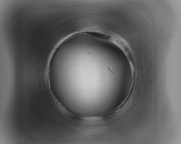 X0000101951200200807251128