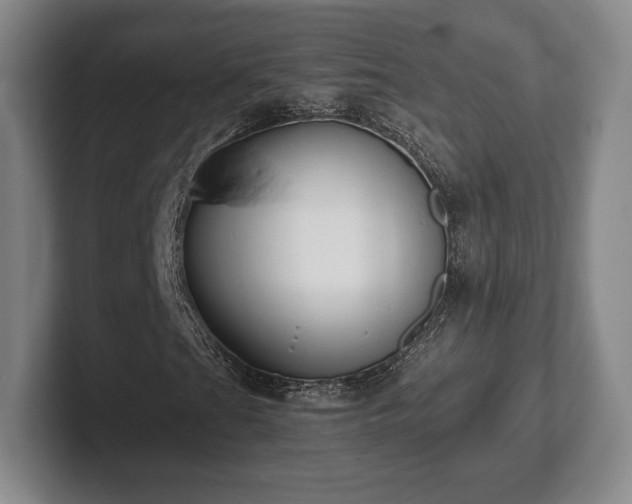 X0000101951201200807251127