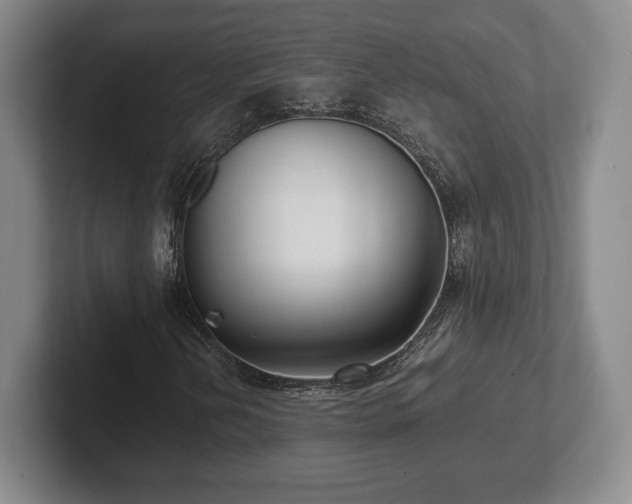 X0000101951202200807251127