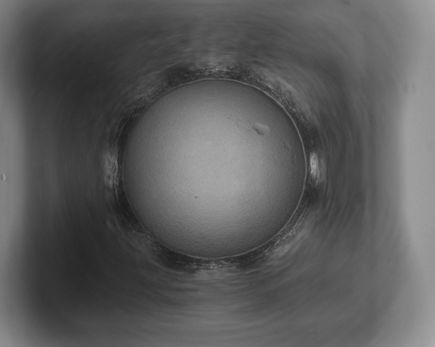 X0000101951203200807251127