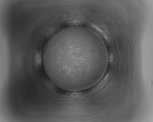 X0000101951204200807251127