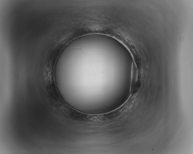 X0000101951205200807251127