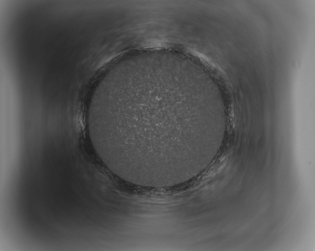 X0000101951206200807251127