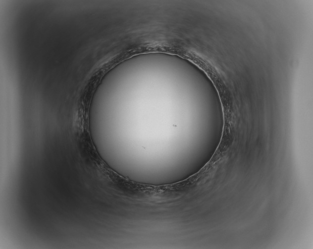 X0000101951207200807251127