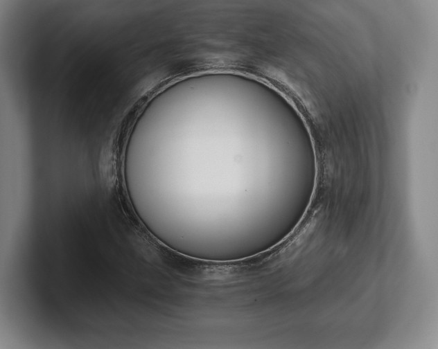 X0000101951211200807251127